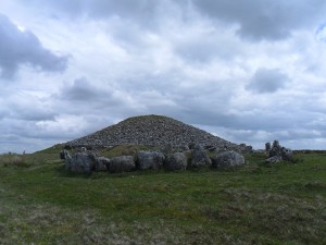 Cairn T